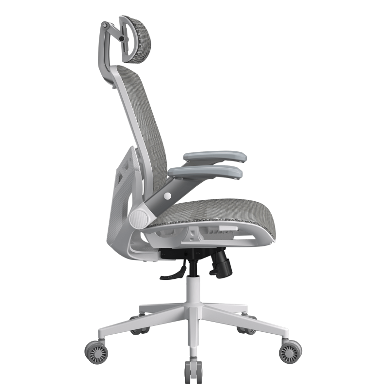 Cougar Speeder One White