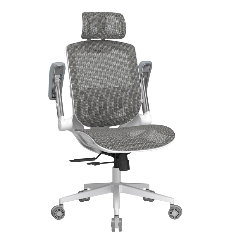 Cougar Speeder One White