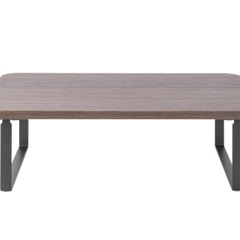 Brateck Monitor Stand Fixed STB-111-01