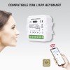 GBC HeyRele Dry Contact Smart WiFi Module