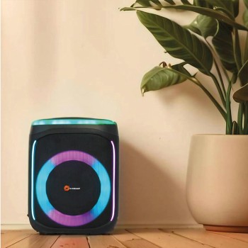 N-Gear FLASHBANGER 606 Karaoke Speaker BT/USB with 1x Wireless Microphone