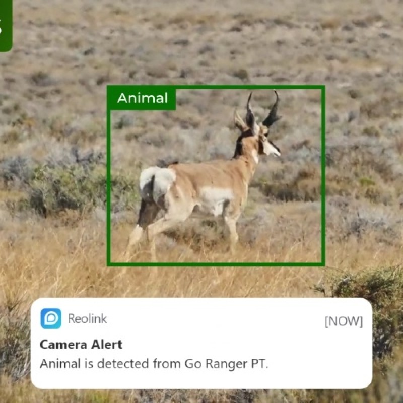 Reolink BP4G Outdoor Battery Camera 4K PTZ GO Ranger PT + Solar